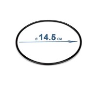 Ущільнювальне кільце для шестиходового клапану Intex 11379