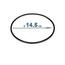 Ущільнювальне кільце для шестиходового клапану Intex 11379