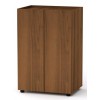 Комод Тумба 1 Компанит МГ 6 60х42х90 см горіх