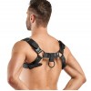 Портупея Bedroom Fantasies Bruno Chest Bulldog Harness - Black в інтернет супермаркеті PbayMarket!