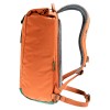 Рюкзак Deuter Stepout 22 л Chestnut-Ivy (1052-3815223 9206)