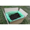 Грибна коробка Білого печериця Готовий набір для вирощування грибів Сімейний 30 х 30 см 5 кг (hub_ntgv91671) в інтернет супермаркеті PbayMarket!