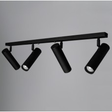 Світильник стельовий MSK Electric Telescope з поворотними плафонами на планці NL 1750-4