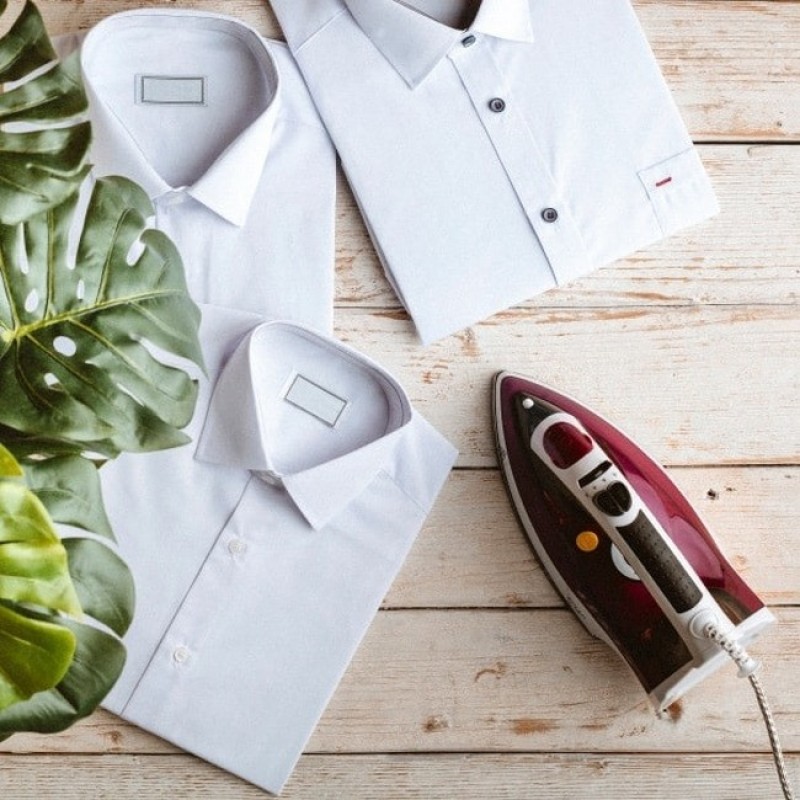 Праска парова з підошвою з нержавіючої сталі Adler AD 5022