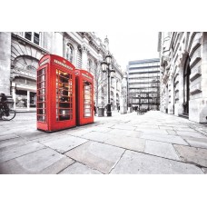 Фотошпалери Престиж №7 196х136