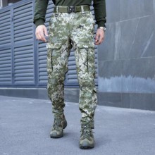 Штани карго чоловічі Pobedov Hardy 324540 XXL Піксель (00000005649)