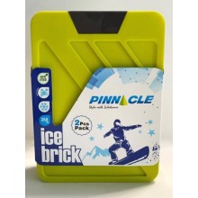 Акумулятори температури Pinnacle 2х350 мл салатовий