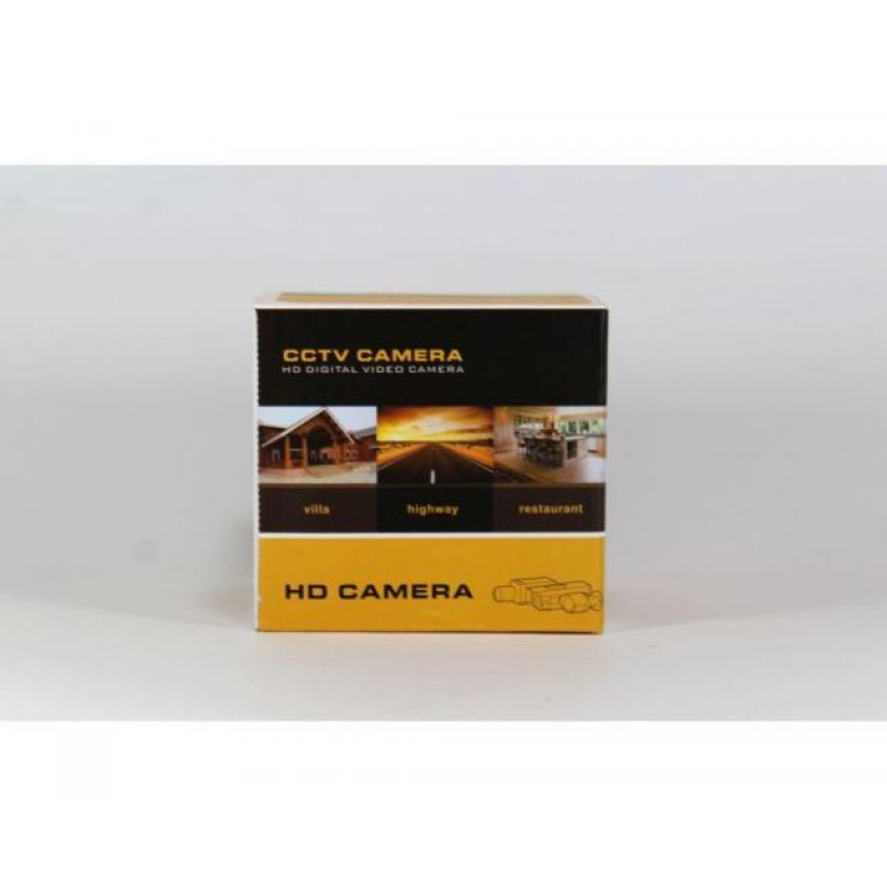 IP камера відеоспостереження купольна RIAS 349 IP 1.3 mp Black (3_1887)