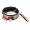 Нашийник з повідцем Liebe Seele Rose Gold Memory Collar with Leash в інтернет супермаркеті PbayMarket!