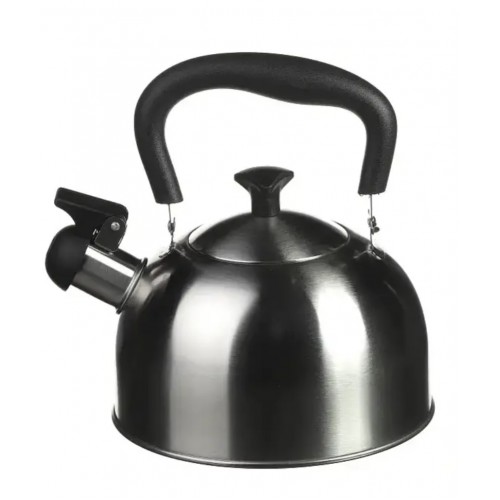 Чайник зі свистком A-PLUS 1373 2 л Steel