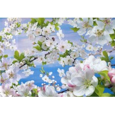 Фотошпалери Арт Декор Весна 194х268