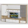 Стінка в вітальню Тиса Мебель Вітальня-111 Сонома Білий 1630x450x2330 мм
