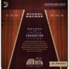 Струни для акустичної гітари D'Addario NB1152 Nickel Bronze Custom Light Acoustic Guitar Strings 11/52
