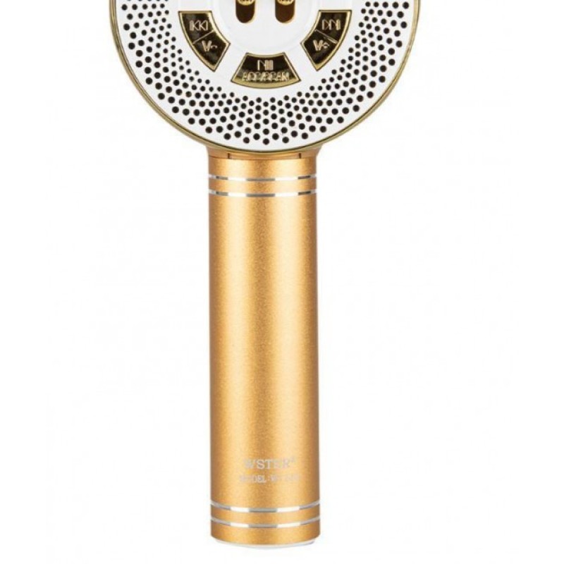 Дитячий мікрофон Wster з функцією караоке USB, microSD, AUX, Bluetooth WS 669 Золотий