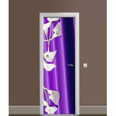 Наклейка на двері Zatarga 