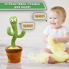 Інтерактивний плюшевий танцюючий кактус Funny Toys Dancing Light Cactus з різнобарвним підсвічуванням