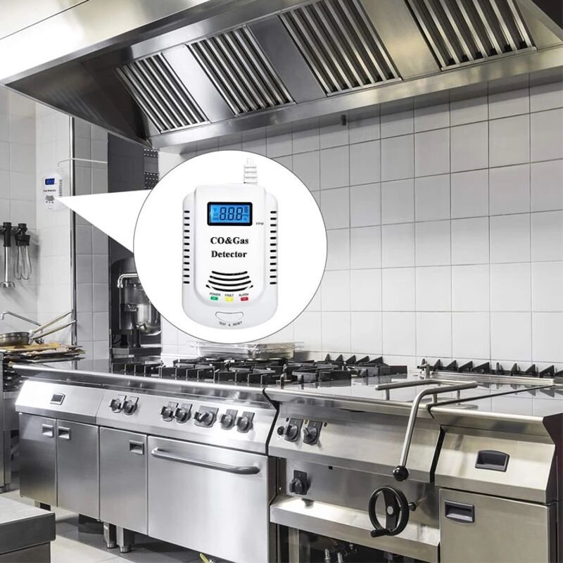 Комбінований датчик чадного газу + природного газу (метан, пропан) з сиреною 2 в 1 FD 808COM