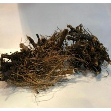 Ехінацея пурпурна (коріння) Карпати 50 гр