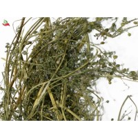Димянка рутка Карпати (трава) 50 гр