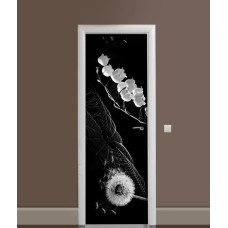 Наклейка на двері Zatarga 