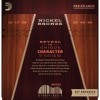 Струни для акустичної гітари 6 шт D'Addario NB1356 Nickel Bronze Medium Acoustic Guitar Strings 13/56