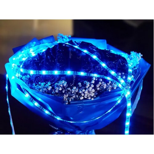 Стрічка світлодіодна з пультом Hoco DL30 RGB 4 м Чорний (2382866768) Стрічка світлодіодна з пультом Hoco DL30 RGB 4 м Чорний (2382866768)