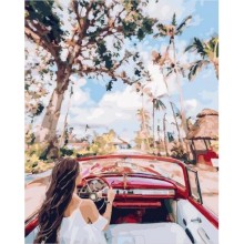 Картина за номерами Brushme Вулицями Куби 50х40 см (GX24882)