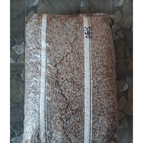 Міцелій Шіїтаке зерновий 1 кг (hub_00t085) в інтернет супермаркеті PbayMarket!