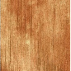 Шпалери Zambaiti вінілові на паперовій основі 9601 Fiorenza-3 (0,70x10,05м.)