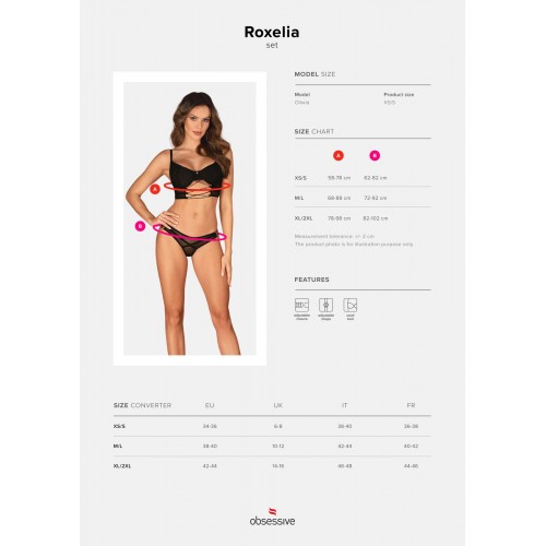 Комплект Obsessive Roxelia 2-pcs set XL/2XL в інтернет супермаркеті PbayMarket!