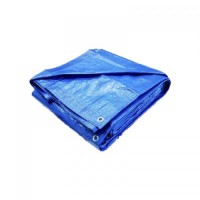 Тент садовий для навісу Wilmar 60г/м2 Blue 3х4 м