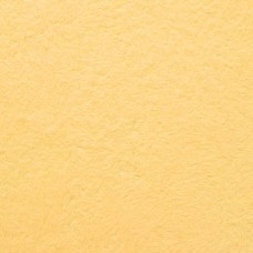 Рідкі шпалери Нектаринового кольору Бегонія 130