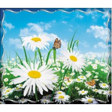 Фотошпалери Ролес Ромашки 207х242