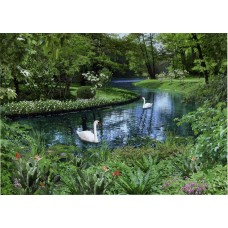 Фотошпалери Арт Декор Лебеді у парку 134х194