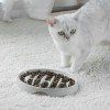 Миска для повільного годування No Brand Maitys 21х15х2.5 см Білий (417254)
