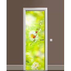 Наклейка на двері Zatarga «Ранкова роса» 650х2000 мм вінілова 3Д наклейка декор самоклеюча