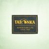 Рюкзак Tatonka City Stroller М'ятний