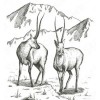 Спальник Naturehike NH21MSD06 Зелений (1047-6927595795330)