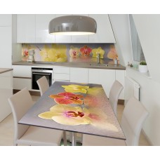 Наклейка вінілова на стіл Zatarga  