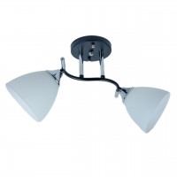 Люстра стельова Sunlight N3800/2