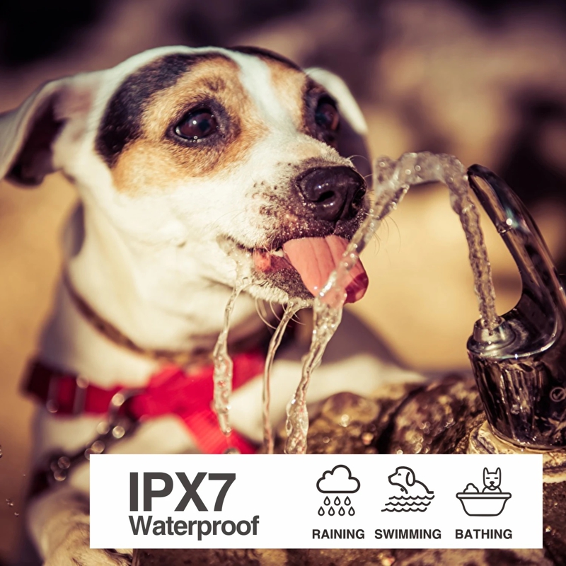 Електронний нашийник для маленьких собак дресирувальний з трьома видами впливу DOBE DB900X