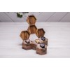 Дерев'яний органайзер для наручних годинників ecoWalnut 7.3х27.1х23.5 см