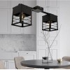 Люстра лофт MSK Electric Urban на два плафони чорна NL 2310-2 BK