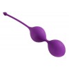 Вагінальні кульки Alive U-Tone Balls Purple (AL40563) в інтернет супермаркеті PbayMarket!