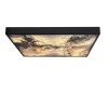 Стельовий світильник Candellux Luxan 59x59x5 см Чорний (10-14573)
