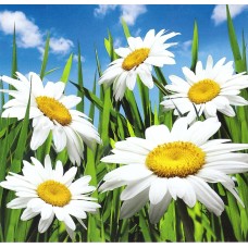 Фотошпалери Престиж №14 204х196