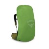 Рюкзак Osprey Atmos AG LT 60 л S/M Scenic Valley/Green Peppercorn (1054-009.3278)
