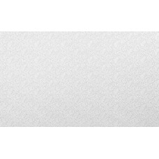 Шпалери Bravo вінілові на флізеліновій основі 86033BR82 (1,06х10,05м.)