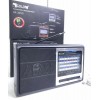Портативний радіоприймач Golon RX-3050 AM/FM