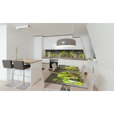 Наклейка вінілова на стіл Zatarga «Білий Виноград» 650х1200 мм Z180483/1st